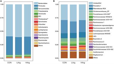 Effects of Arginine Supplementation on Serum Metabolites and the Rumen Bacterial Community of <mark class="highlighted">Sika Deer</mark> (Cervus nippon)